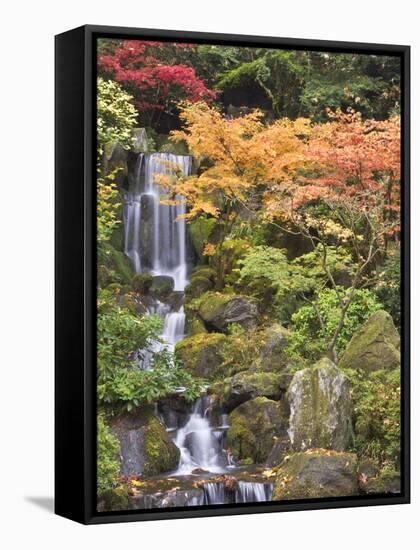 Heavenly Falls and Autumn Colors, Portland Japanese Garden, Oregon, USA-William Sutton-Framed Stretched Canvas