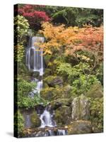 Heavenly Falls and Autumn Colors, Portland Japanese Garden, Oregon, USA-William Sutton-Stretched Canvas