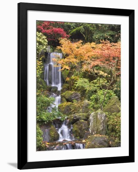 Heavenly Falls and Autumn Colors, Portland Japanese Garden, Oregon, USA-William Sutton-Framed Photographic Print