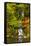 Heavenly Falls, Portland Japanese Garden, Oregon, Usa-Michel Hersen-Framed Stretched Canvas