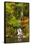 Heavenly Falls, Portland Japanese Garden, Oregon, Usa-Michel Hersen-Framed Stretched Canvas