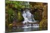 Heavenly Falls, Portland Japanese Garden, Portland, Oregon, Usa-Michel Hersen-Mounted Photographic Print