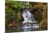 Heavenly Falls, Portland Japanese Garden, Portland, Oregon, Usa-Michel Hersen-Mounted Premium Photographic Print