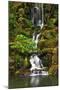 Heavenly Falls, Portland Japanese Garden, Portland, Oregon, Usa-Michel Hersen-Mounted Photographic Print