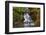 Heavenly Falls, Portland Japanese Garden, Portland, Oregon, Usa-Michel Hersen-Framed Photographic Print