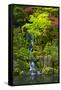 Heavenly Falls, Portland Japanese Garden, Portland, Oregon, USA-Michel Hersen-Framed Stretched Canvas