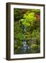 Heavenly Falls, Portland Japanese Garden, Portland, Oregon, USA-Michel Hersen-Framed Photographic Print