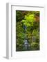 Heavenly Falls, Portland Japanese Garden, Portland, Oregon, USA-Michel Hersen-Framed Photographic Print