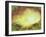 Heavenly Forest-Herb Dickinson-Framed Photographic Print