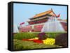 Heavenly Gate Entrance to Forbidden City Decorated with Fountains and Flowers During National Day F-Kimberly Walker-Framed Stretched Canvas