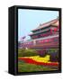 Heavenly Gate Entrance to Forbidden City During National Day Festival, Beijing, China, Asia-Kimberly Walker-Framed Stretched Canvas