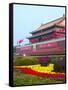 Heavenly Gate Entrance to Forbidden City During National Day Festival, Beijing, China, Asia-Kimberly Walker-Framed Stretched Canvas