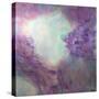 Heavenly Portal-Barbara Bilotta-Stretched Canvas