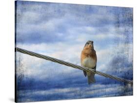 Heavenly Song of the Bluebird-Jai Johnson-Stretched Canvas