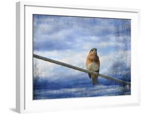 Heavenly Song of the Bluebird-Jai Johnson-Framed Giclee Print