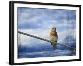 Heavenly Song of the Bluebird-Jai Johnson-Framed Giclee Print
