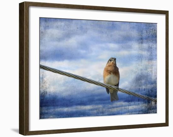 Heavenly Song of the Bluebird-Jai Johnson-Framed Giclee Print