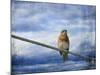 Heavenly Song of the Bluebird-Jai Johnson-Mounted Giclee Print
