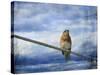 Heavenly Song of the Bluebird-Jai Johnson-Stretched Canvas