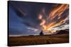 Heavenly spectacle-Sus Bogaerts-Stretched Canvas