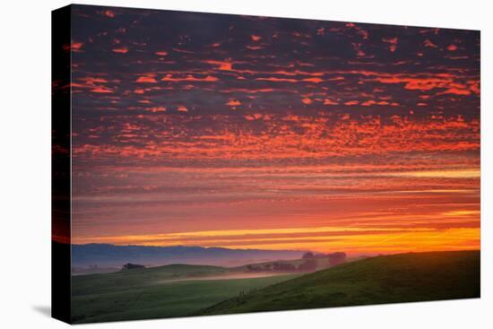 Heavenly Sunrise Burn, Northern California-null-Stretched Canvas