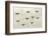 Heavy Bombers-icholakov-Framed Photographic Print