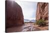 Heavy Erosion, Los Colorados, Salta Region, Argentina-Peter Groenendijk-Stretched Canvas