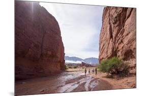 Heavy Erosion, Los Colorados, Salta Region, Argentina-Peter Groenendijk-Mounted Photographic Print