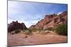 Heavy Erosion, Los Colorados, Salta Region, Argentina-Peter Groenendijk-Mounted Photographic Print