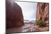 Heavy Erosion, Los Colorados, Salta Region, Argentina-Peter Groenendijk-Mounted Photographic Print