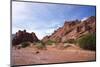 Heavy Erosion, Los Colorados, Salta Region, Argentina-Peter Groenendijk-Mounted Photographic Print