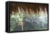 Heavy Monsoon Rain Dripping Off a Rice Straw Thatched Roof-Annie Owen-Framed Stretched Canvas