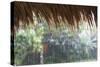 Heavy Monsoon Rain Dripping Off a Rice Straw Thatched Roof-Annie Owen-Stretched Canvas