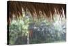 Heavy Monsoon Rain Dripping Off a Rice Straw Thatched Roof-Annie Owen-Stretched Canvas