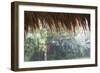 Heavy Monsoon Rain Dripping Off a Rice Straw Thatched Roof-Annie Owen-Framed Photographic Print