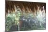 Heavy Monsoon Rain Dripping Off a Rice Straw Thatched Roof-Annie Owen-Mounted Photographic Print