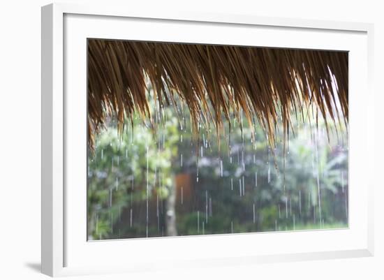 Heavy Monsoon Rain Dripping Off a Rice Straw Thatched Roof-Annie Owen-Framed Photographic Print