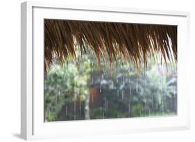 Heavy Monsoon Rain Dripping Off a Rice Straw Thatched Roof-Annie Owen-Framed Photographic Print