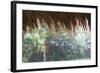 Heavy Monsoon Rain Dripping Off a Rice Straw Thatched Roof-Annie Owen-Framed Photographic Print