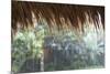 Heavy Monsoon Rain Dripping Off a Rice Straw Thatched Roof-Annie Owen-Mounted Photographic Print