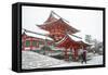 Heavy snow on Fushimi Inari Shrine, Kyoto, Japan, Asia-Damien Douxchamps-Framed Stretched Canvas