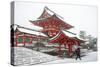 Heavy snow on Fushimi Inari Shrine, Kyoto, Japan, Asia-Damien Douxchamps-Stretched Canvas