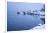 Heavy Snowfall on the Fishing Village and the Icy Sea, Nusfjord, Lofoten Islands, Arctic, Norway-Roberto Moiola-Framed Photographic Print