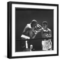 Heavyweight Bout in Which Cassius Clay Narrowly Defeated Doug Jones-George Silk-Framed Premium Photographic Print