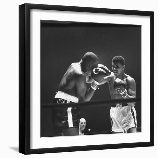 Heavyweight Bout in Which Cassius Clay Narrowly Defeated Doug Jones-George Silk-Framed Premium Photographic Print