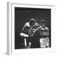 Heavyweight Bout in Which Cassius Clay Narrowly Defeated Doug Jones-George Silk-Framed Premium Photographic Print