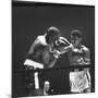 Heavyweight Bout in Which Cassius Clay Narrowly Defeated Doug Jones-George Silk-Mounted Premium Photographic Print