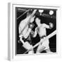Heavyweight Champion Rocky Marciano (Right) Backs Roland Lastarza Against the Ropes-null-Framed Premium Photographic Print