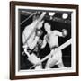 Heavyweight Champion Rocky Marciano (Right) Backs Roland Lastarza Against the Ropes-null-Framed Photo