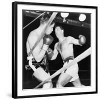 Heavyweight Champion Rocky Marciano (Right) Backs Roland Lastarza Against the Ropes-null-Framed Photo